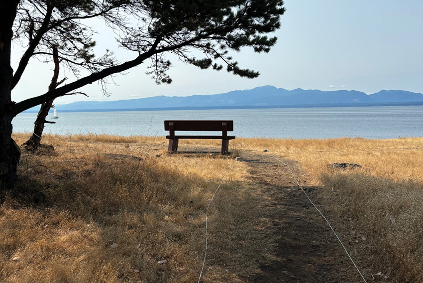 Photo of a bench against a coastal view