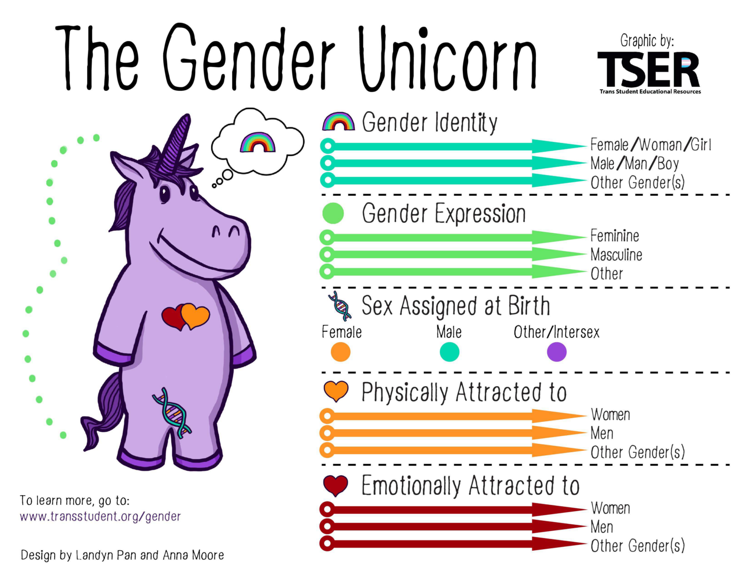 image of the gender unicorn showing the key terminology below
